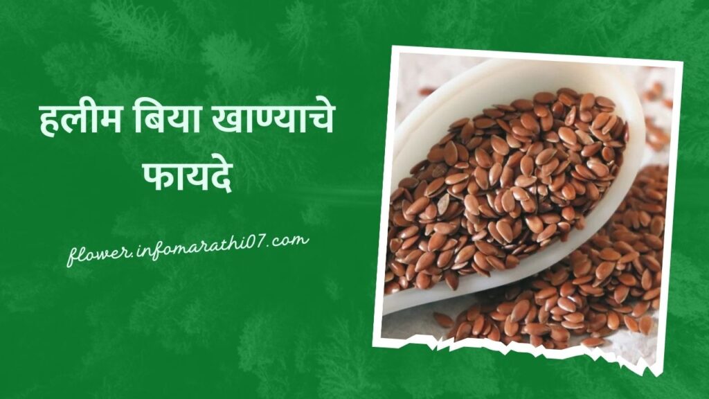 Halim Seeds Benefits in Marathi