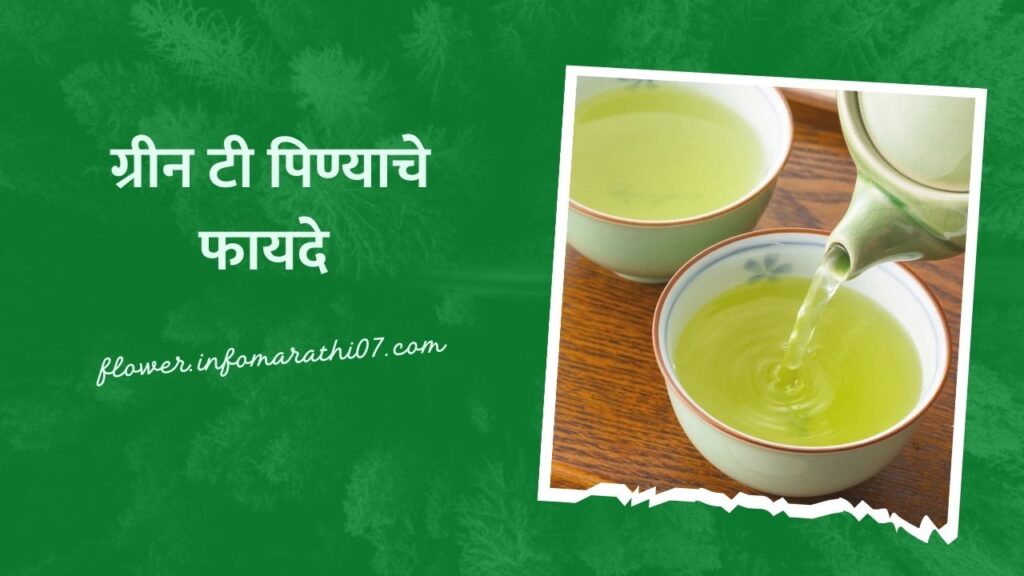 Green Tea Benefits in Marathi